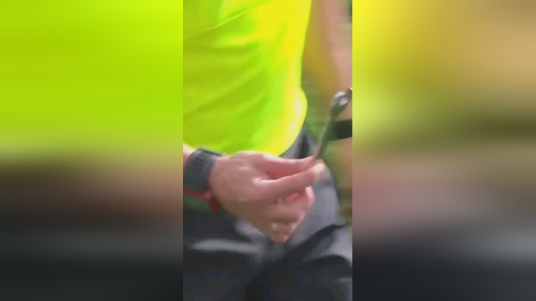 单后